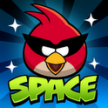 Angry Birds Space Logo