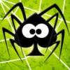 Spider Solitaire Logo
